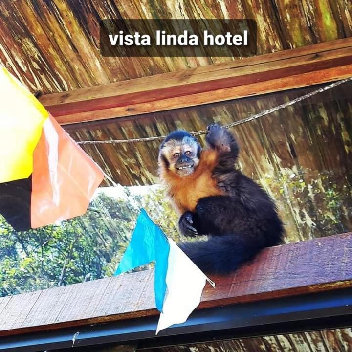 Vista Linda Hotel Итатиая Экстерьер фото